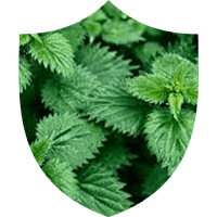 Prosta Defend-Ingredient-6